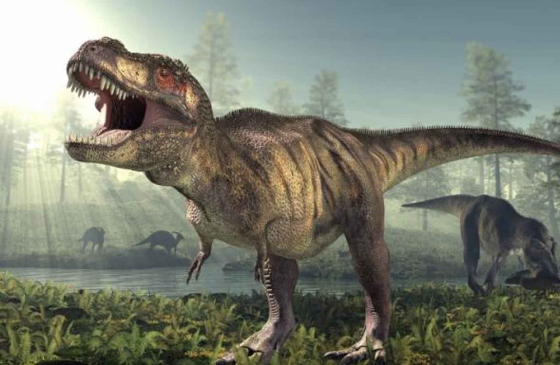 t rex