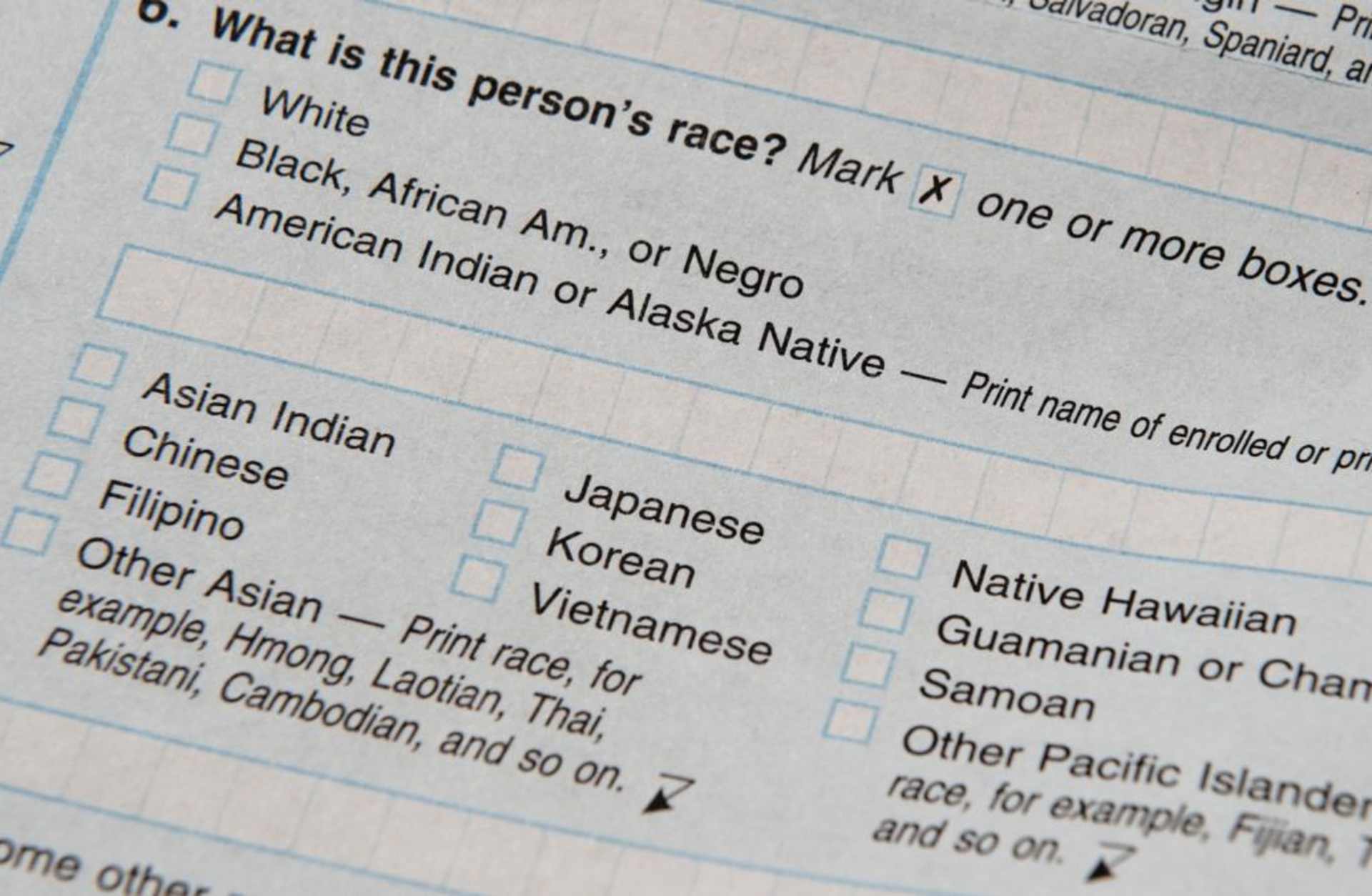 The official US Census form from 2010, providing many more specific options for identifying race than in past forms. (Credit: Paul J. Richards/AFP/Getty Images)