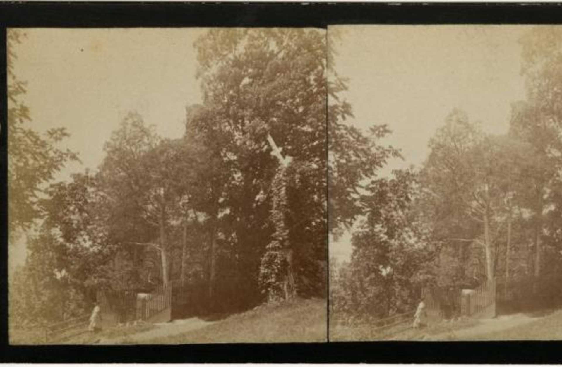 View of the old tomb at Mount Vernon, as a visitor ascends the stairs into the vault, circa 1865. (Credit: The Washington Library)