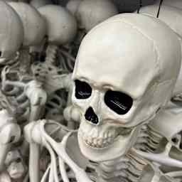 Plastic  human skeletons, Halloween decorations, merchandise