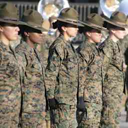 U.S. Marine Corps female drill instructors stand at parade rest.
