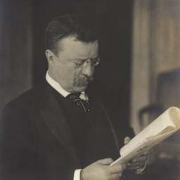 President Theodore Roosevelt, reading in 1904 photo by J. Martin Miller (BSLOC_2017_4_58)