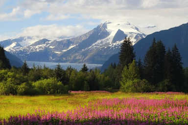 Why the Purchase of Alaska Was Far From 'Folly'