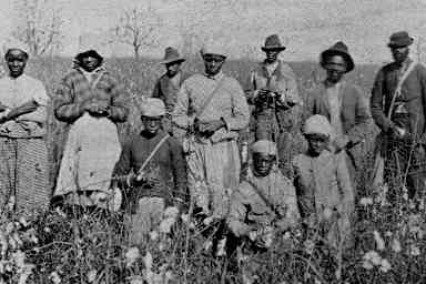 African American cotton pickers in Florida, 1879