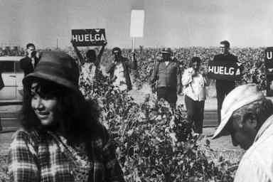 5 Latino-Led Labor Strikes That Championed Rights for American Workers
