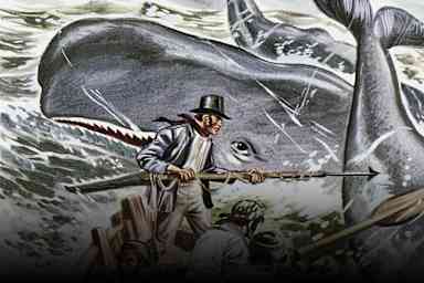 Was There a Real Moby Dick?