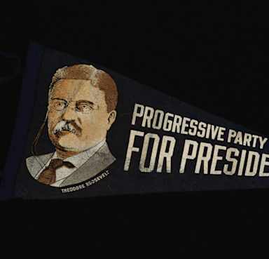 Theodore Roosevelt, Progressive Party