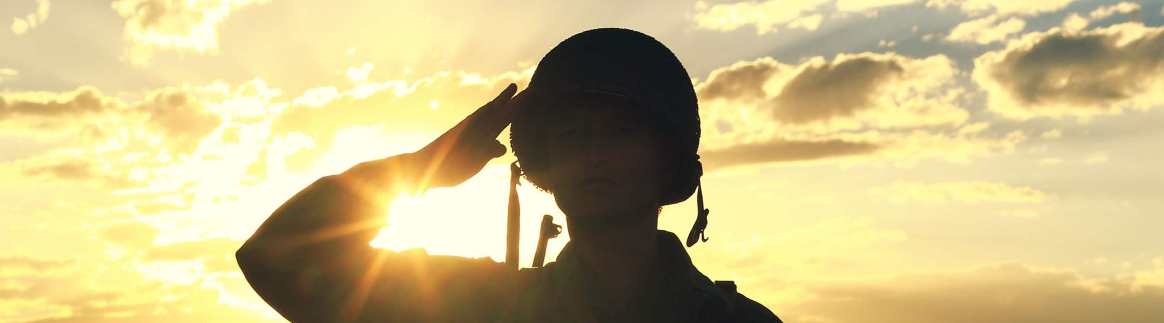 Veterans Day Quotes