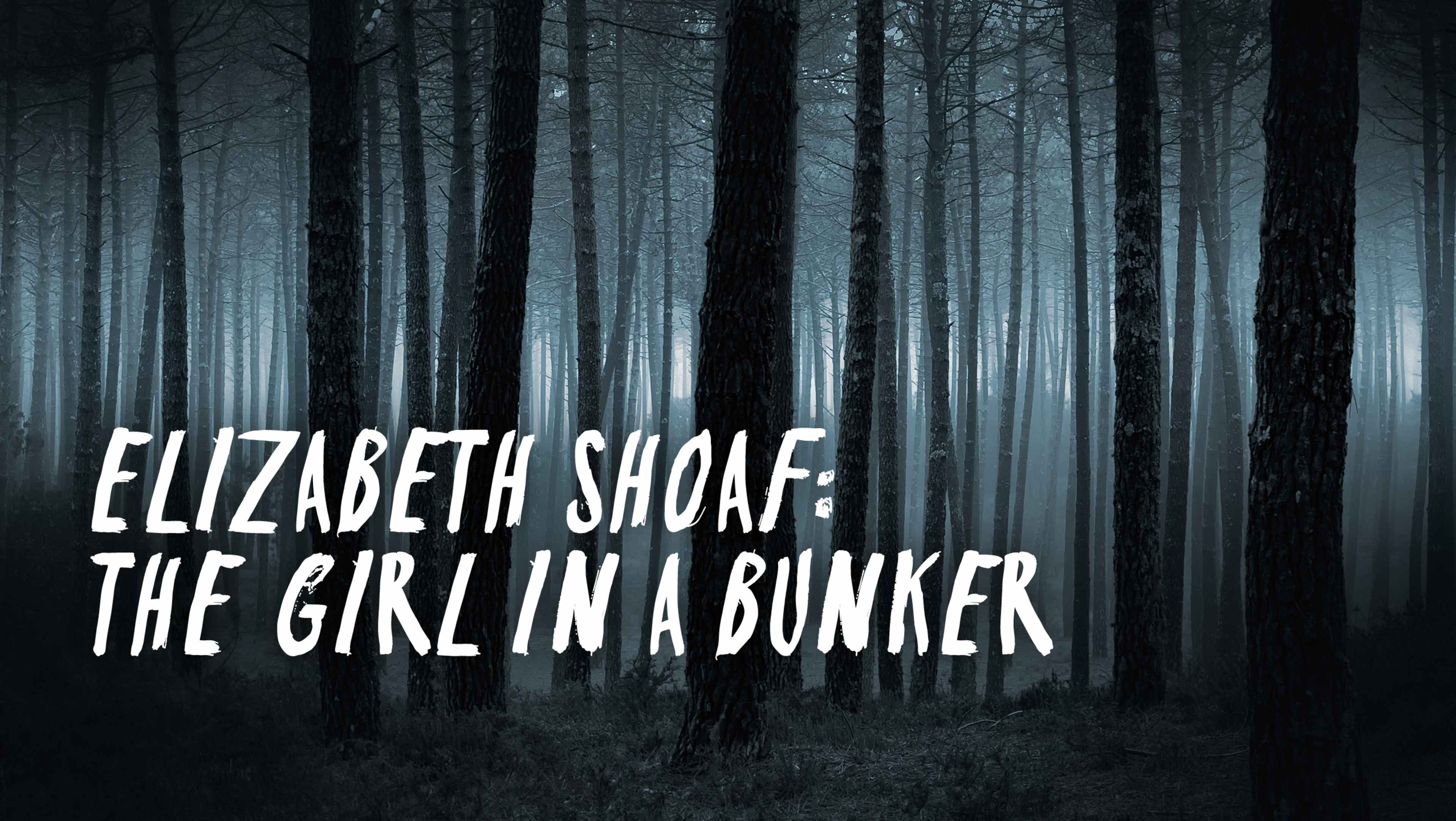 Elizabeth Shoaf: The Girl in a Bunker (AECC)