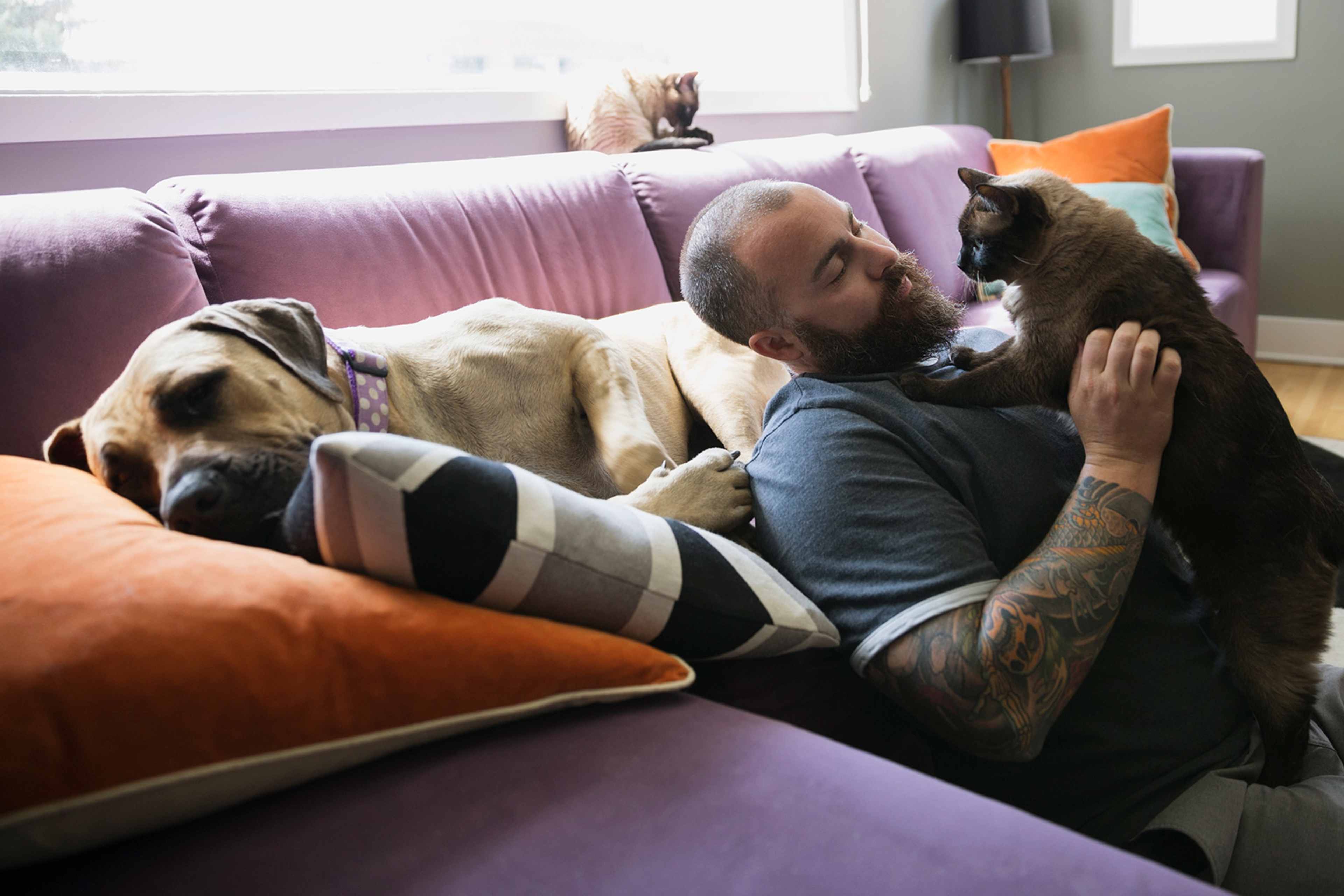 A man with tattoos is relaxing on a colorful couch, cuddling with two cats.