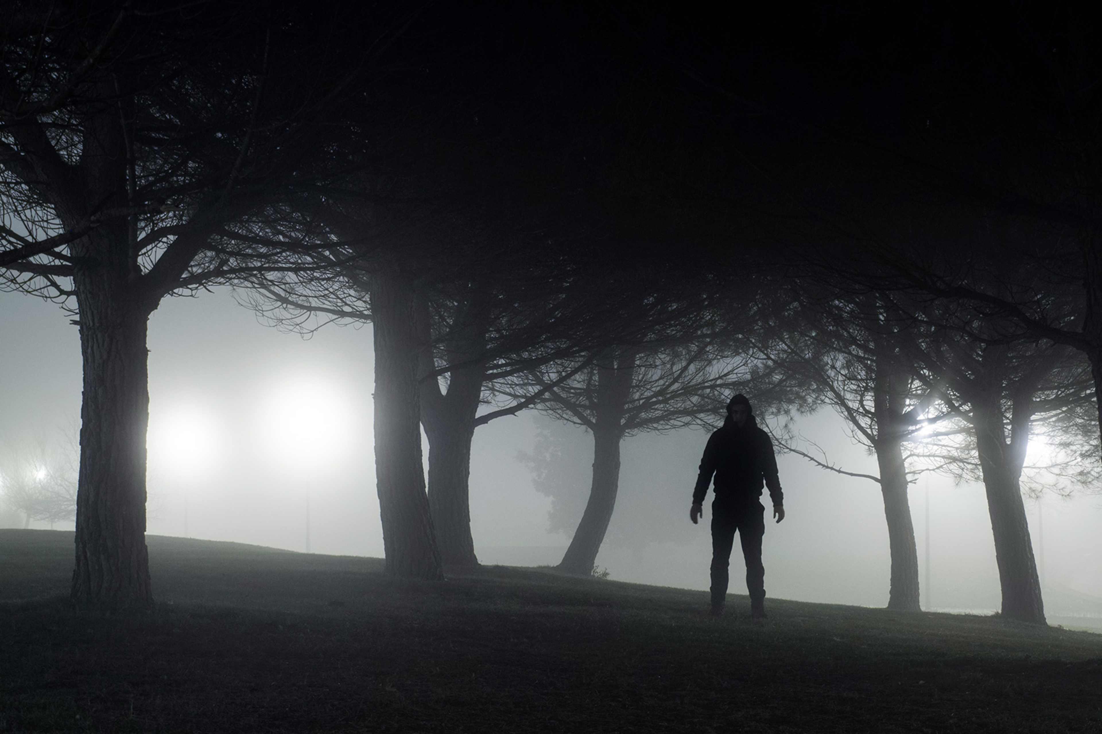 A solitary figure stands in a dark, misty forest, surrounded by the silhouettes of bare trees.