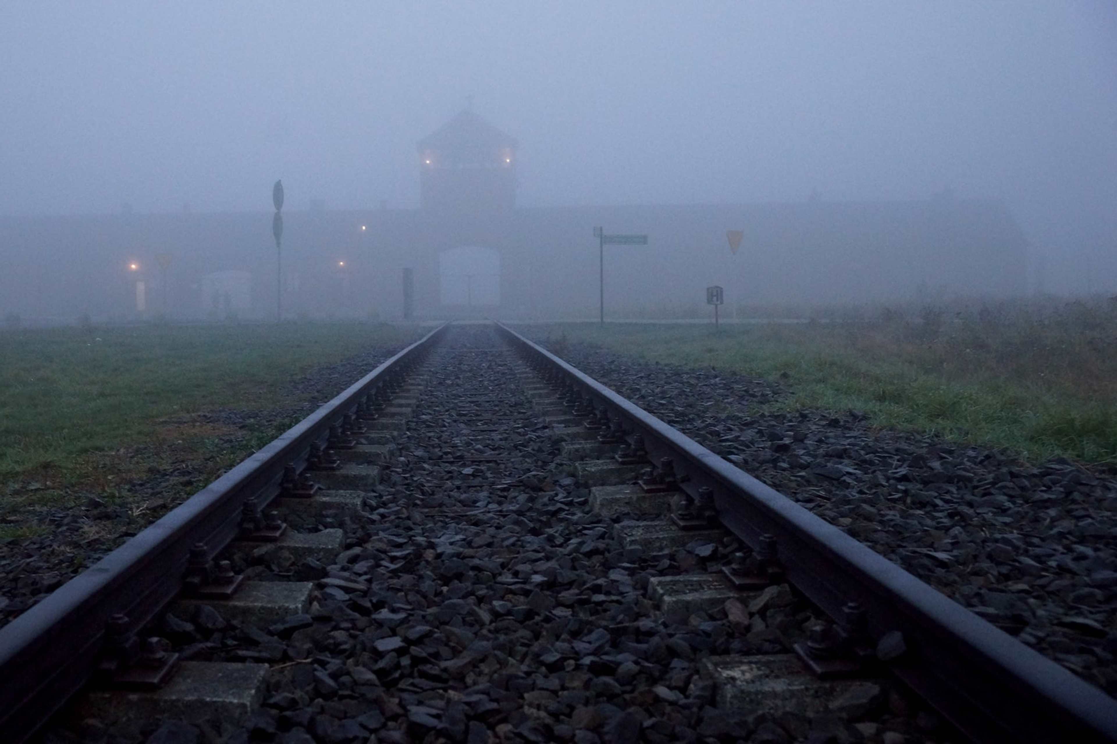 Auschwitz Survivor Stories