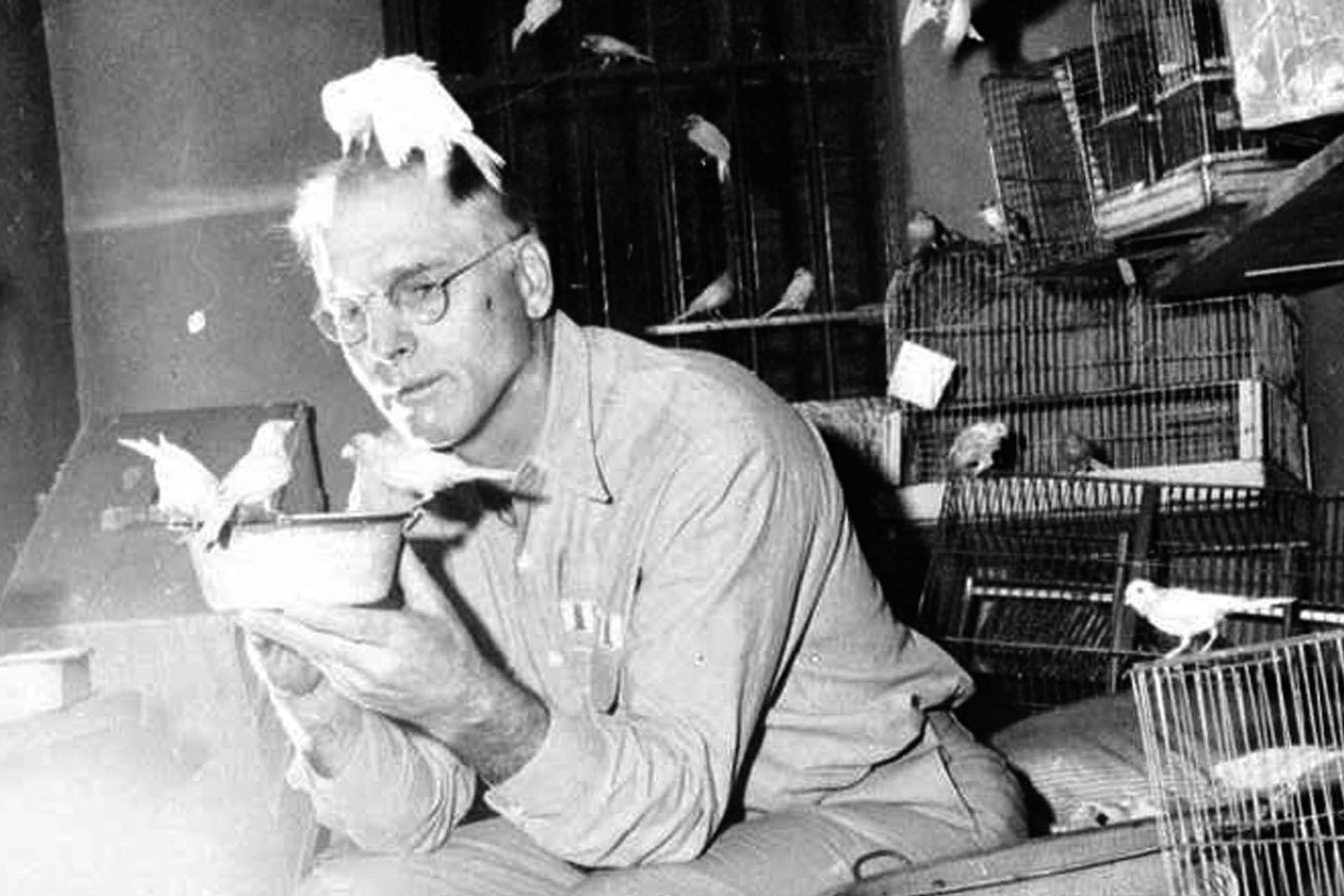 LANCASTER, BIRD MAN OF ALCATRAZActor Burt Lancaster as Robert Stround in the film "Bird Man of Alcatraz". (Photo by PA Images via Getty Images)