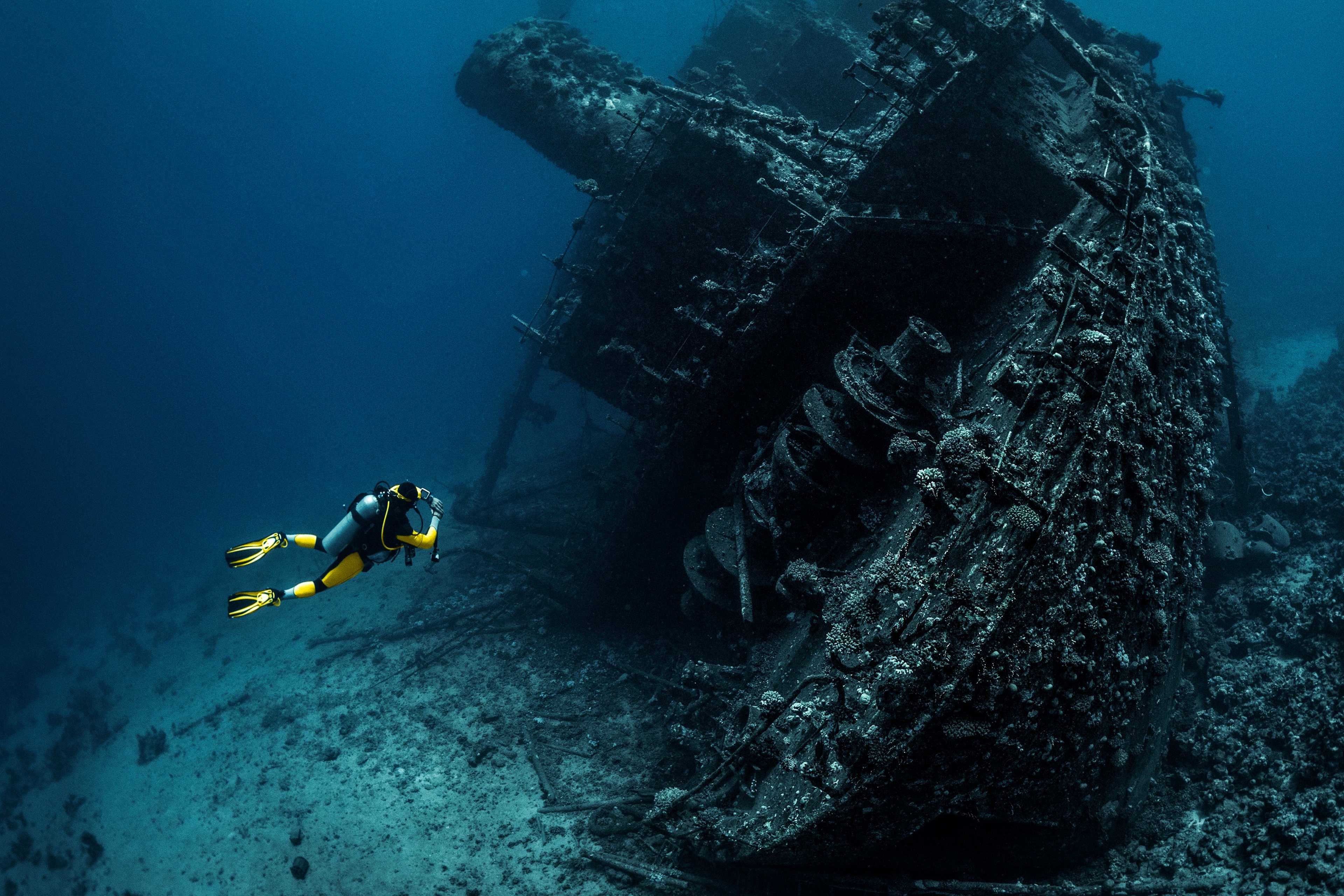 A scuba diver observes a shipwreck in the Red Sea.