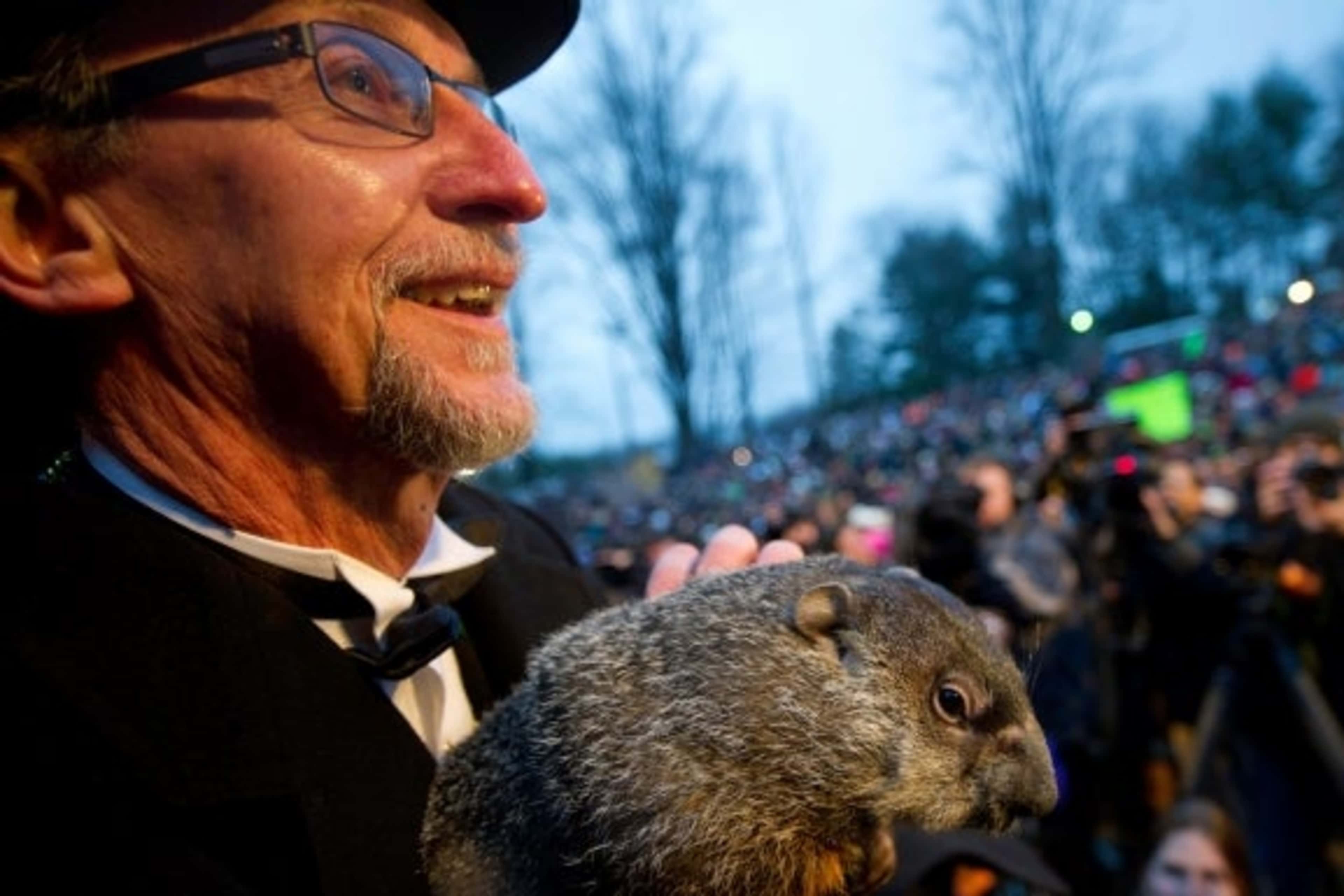 A groundhog handler holds Punxsutawney Phil after his 2012 weather prediction in Punxsutawney, Pennsylvania. 