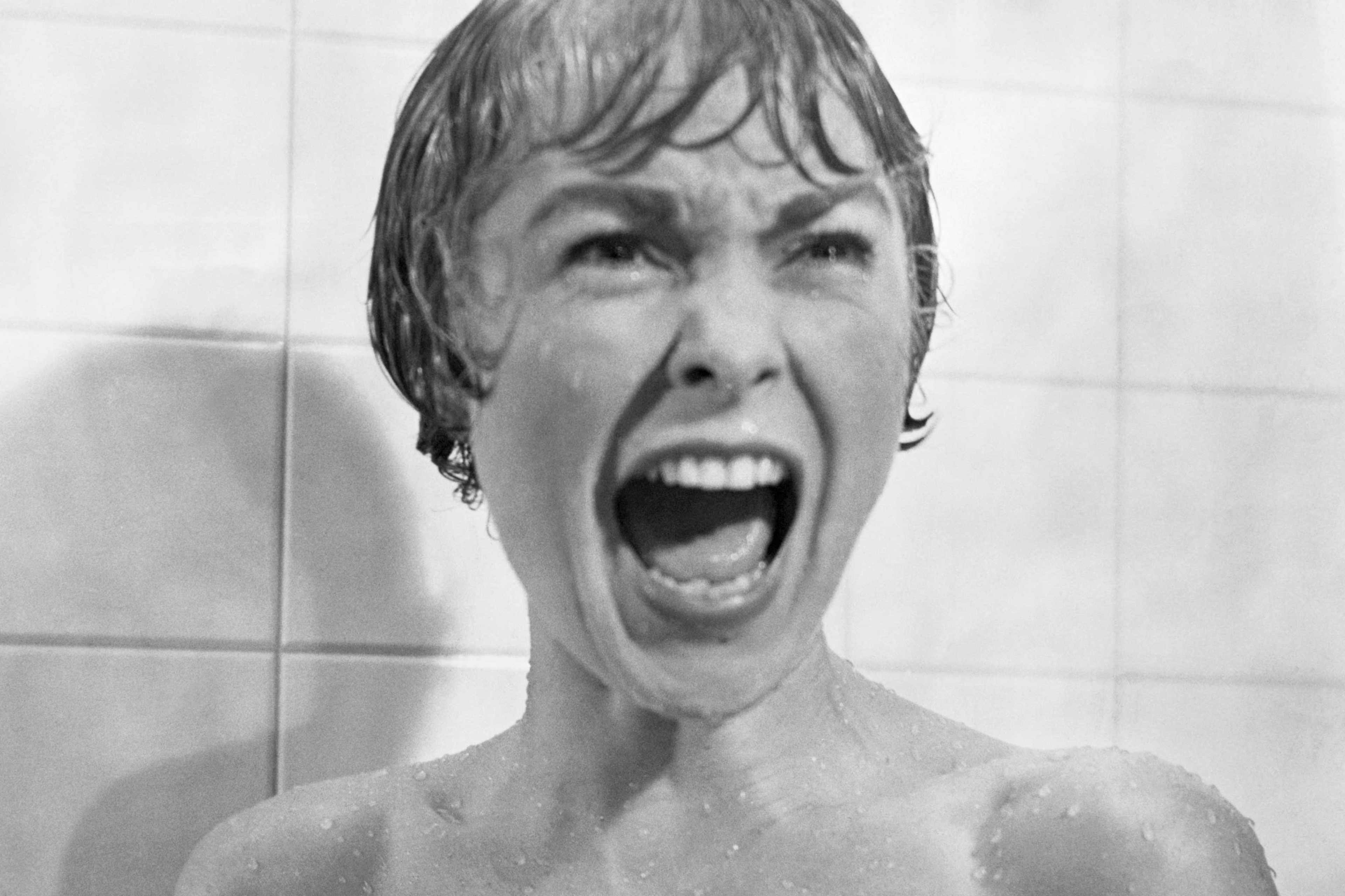 Janet Leigh in Psycho