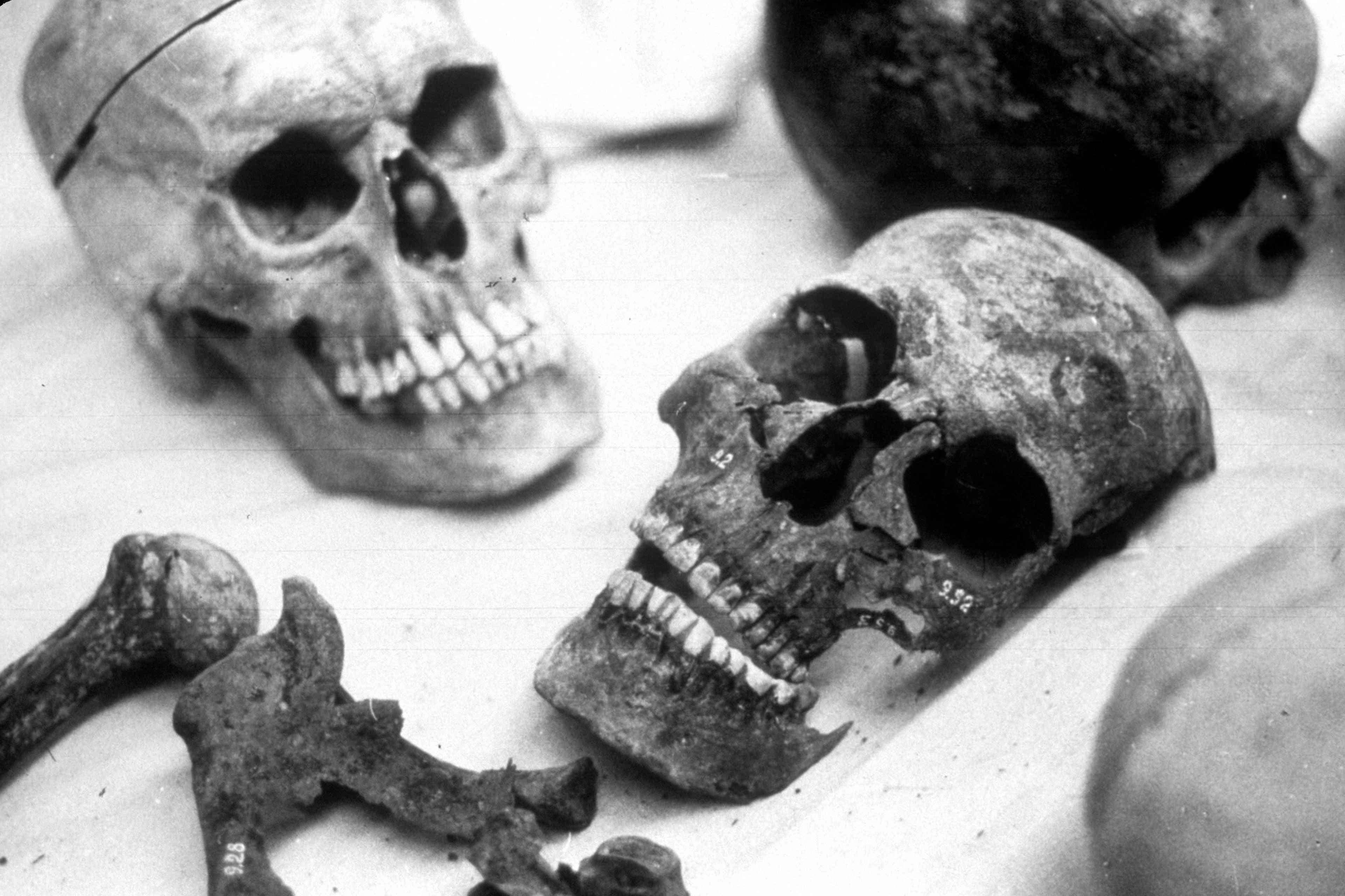Romanov Remains