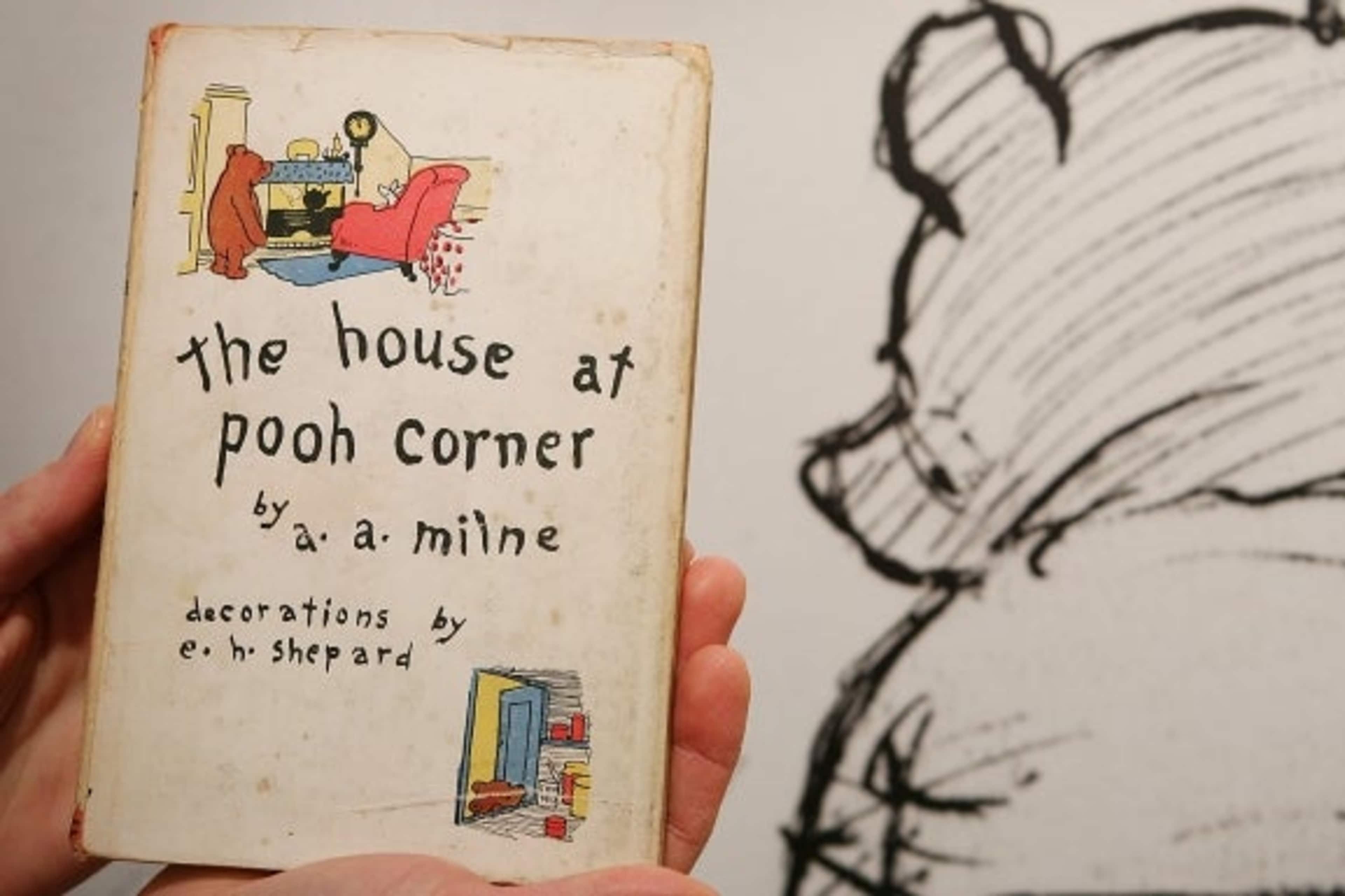 LONDON - DECEMBER 15: A rare American first edition of a Winnie-the-Pooh book is displayed at a press preview at Sotheby's Auctioneers on December 15, 2008 in London. Sotheby's is holding an auction of original artworks and rare first edition books featuring the famous characters by A.A. Milne from the private collections of Stanley J. Seeger and Christopher Cone on December 17, 2008. (Photo by Peter Macdiarmid/Getty Images)