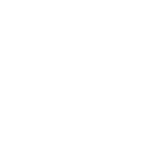 Tanzania Daily Tours & Safari