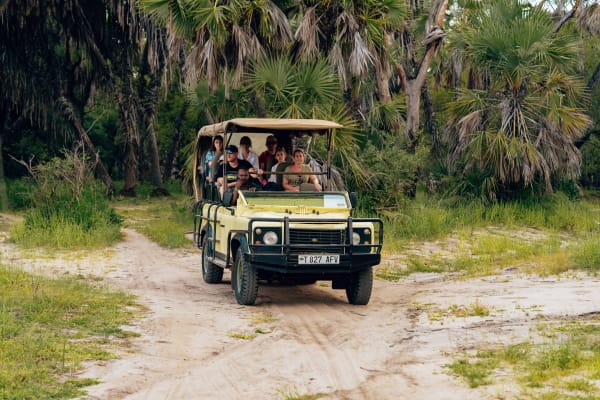 From safari to sea — game viewing on the way to the coast