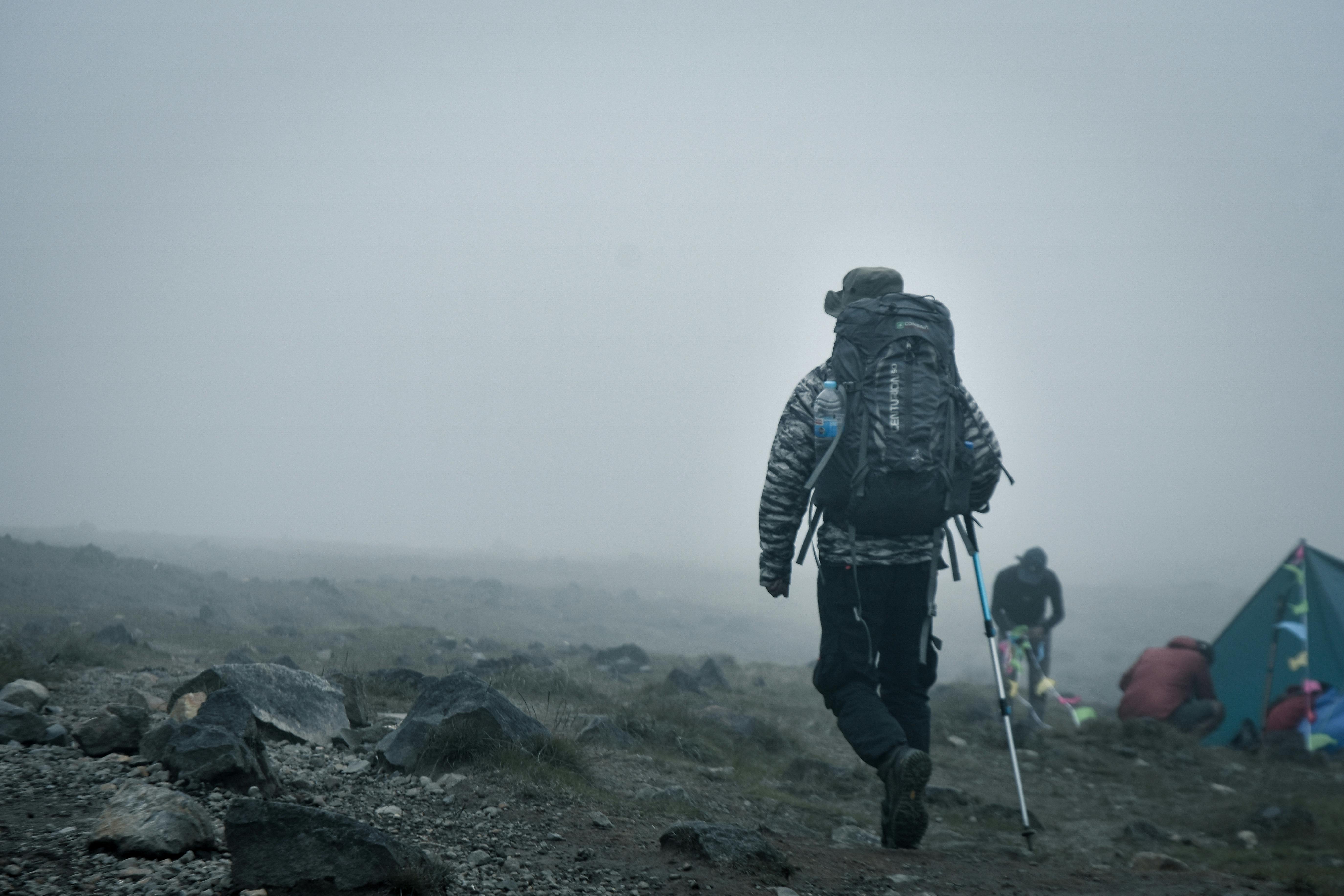5 Day Kilimanjaro Marangu Route and 2 Day Tanzania Safari - Multi-Day Safari safari tour in Tanzania