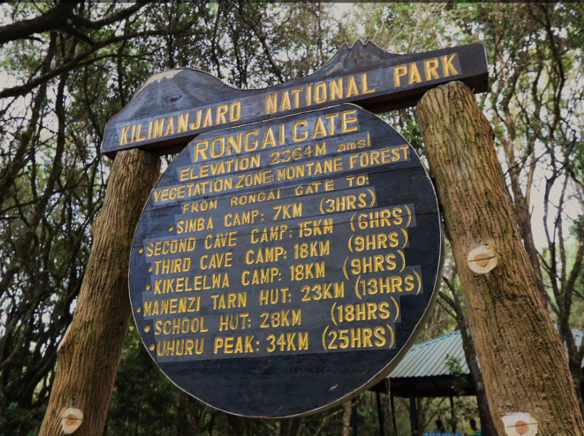 Mount Kilimanjaro Climb 6 Days Rongai Route - Multi-Day Safari safari tour in Tanzania