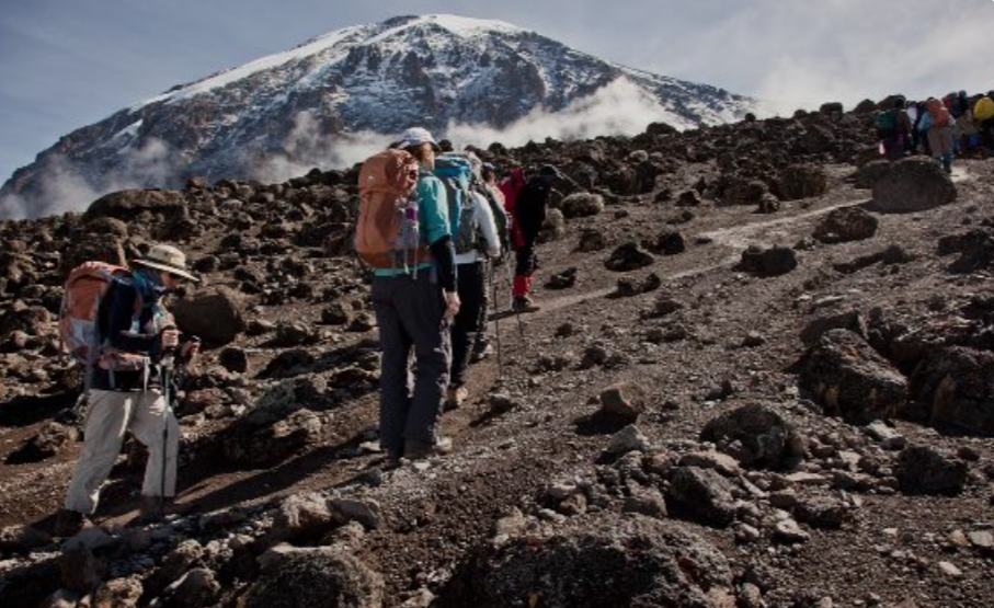 Mount Kilimanjaro Climb 6 Days Marangu Route - Multi-Day Safari safari tour in Tanzania