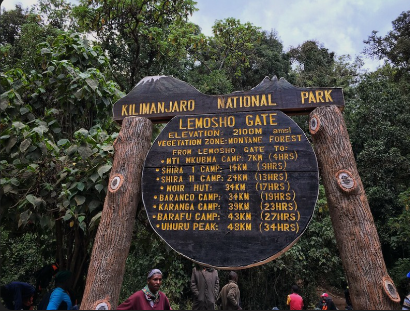 The Best 8 Days Kilimanjaro Lemosho Route - Multi-Day Safari safari tour in Tanzania
