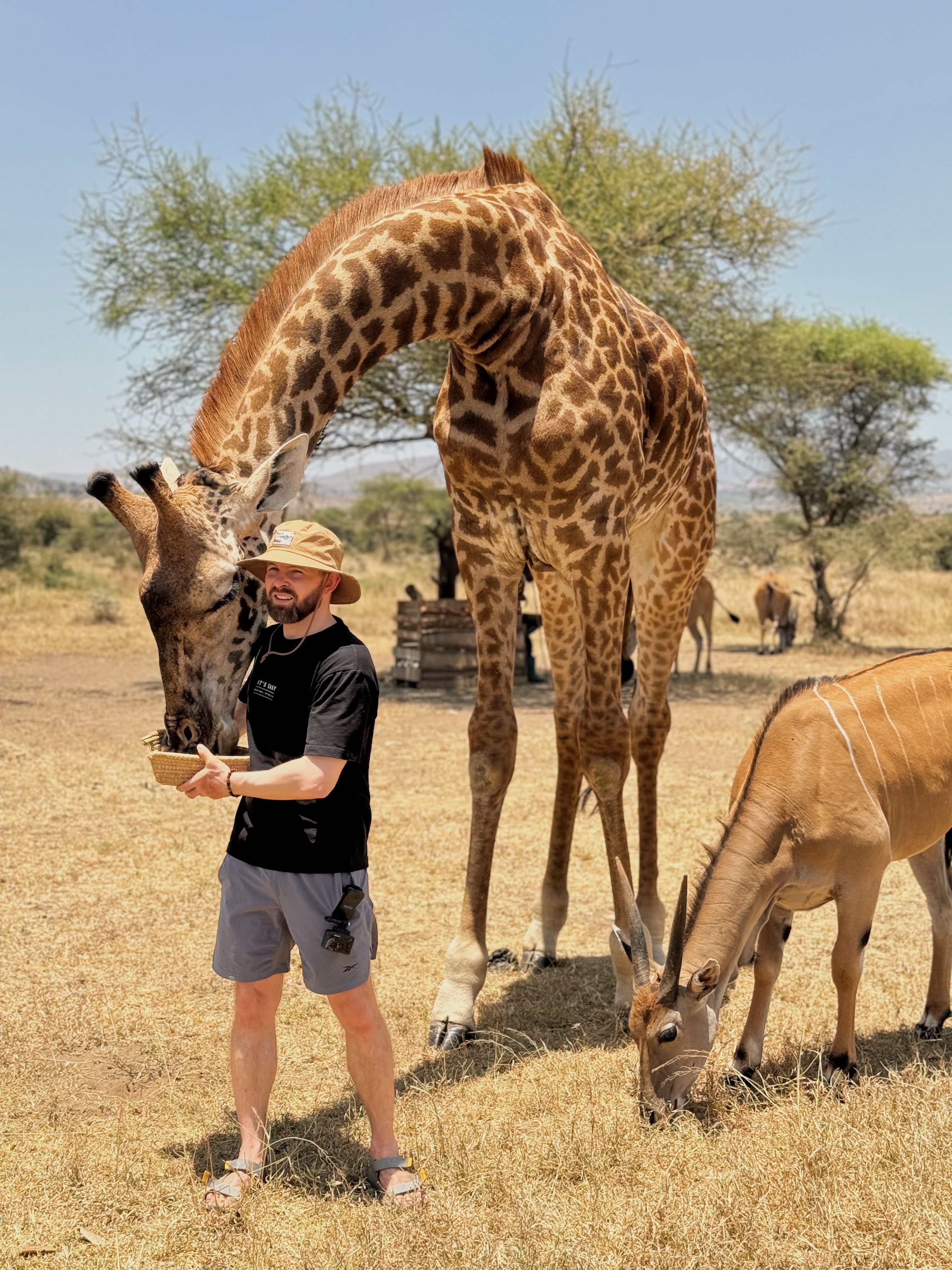 1-Day VIP Serval Wildlife Sanctuary Experience - Day Trip safari tour in Tanzania