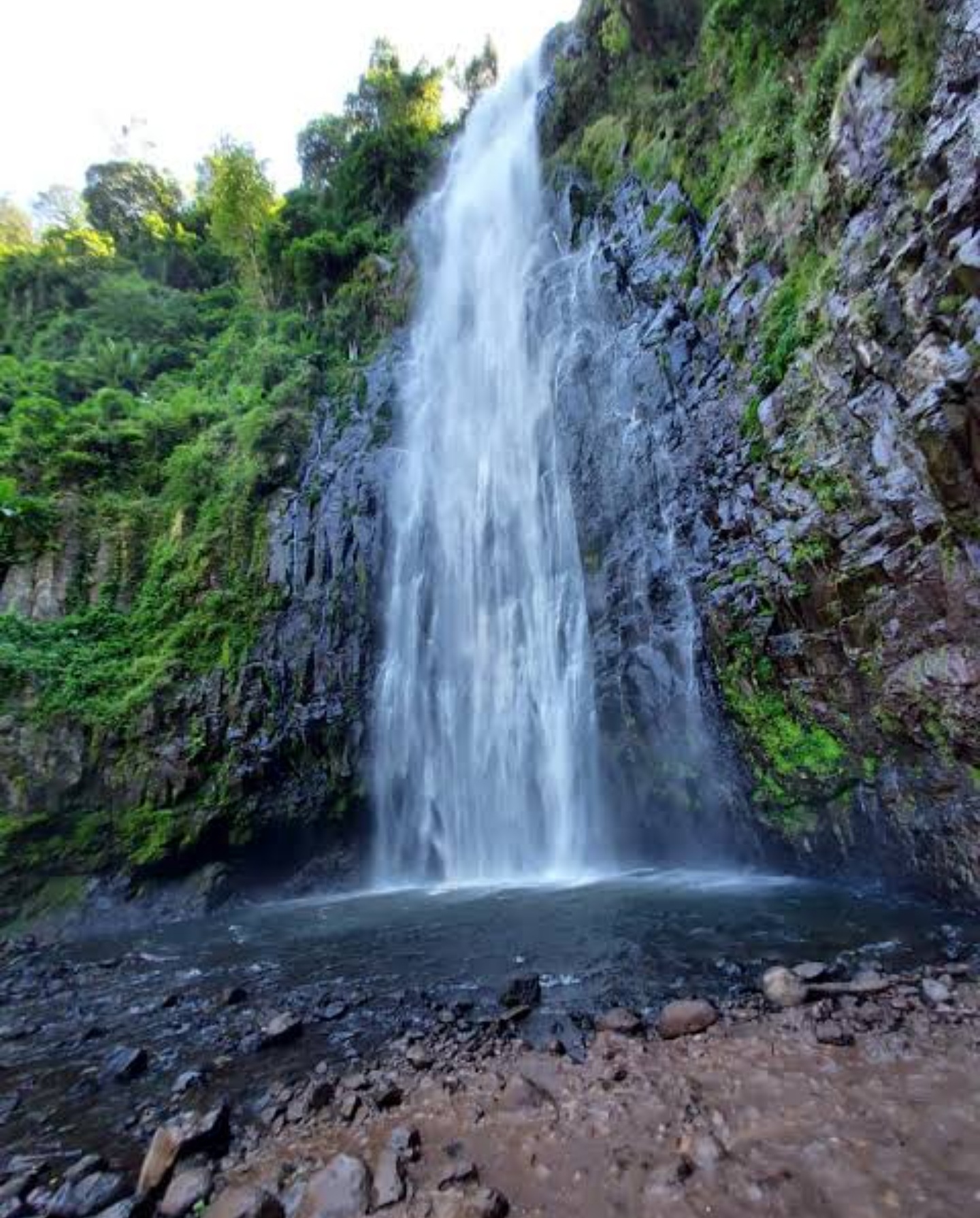 Materuni Waterfall & Coffee Tour