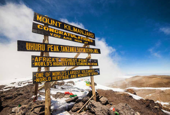 Mount Kilimanjaro Climb 6 Days Umbwe Route - Multi-Day Safari safari tour in Tanzania