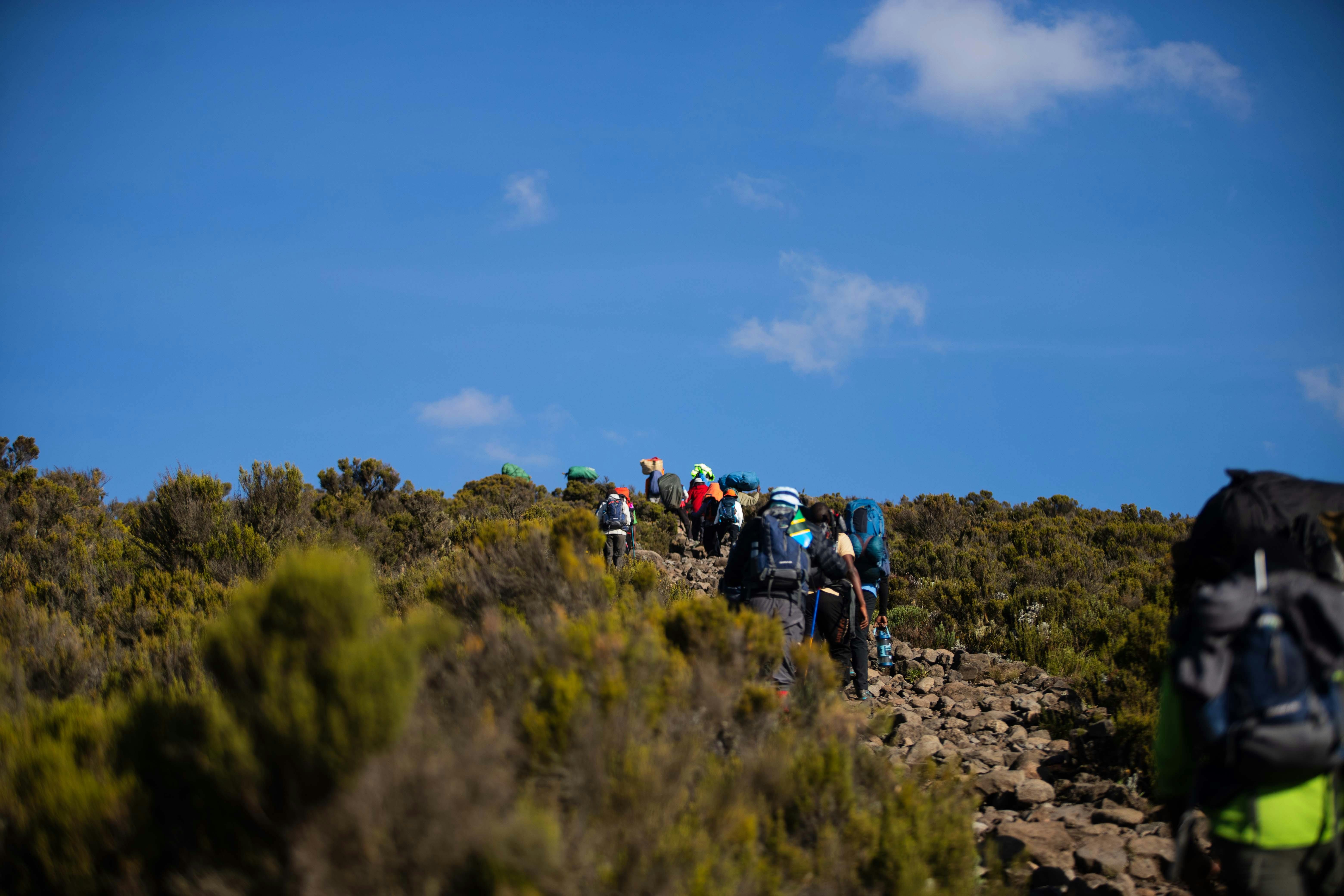 Kilimanjaro Climb Tanzania Safari