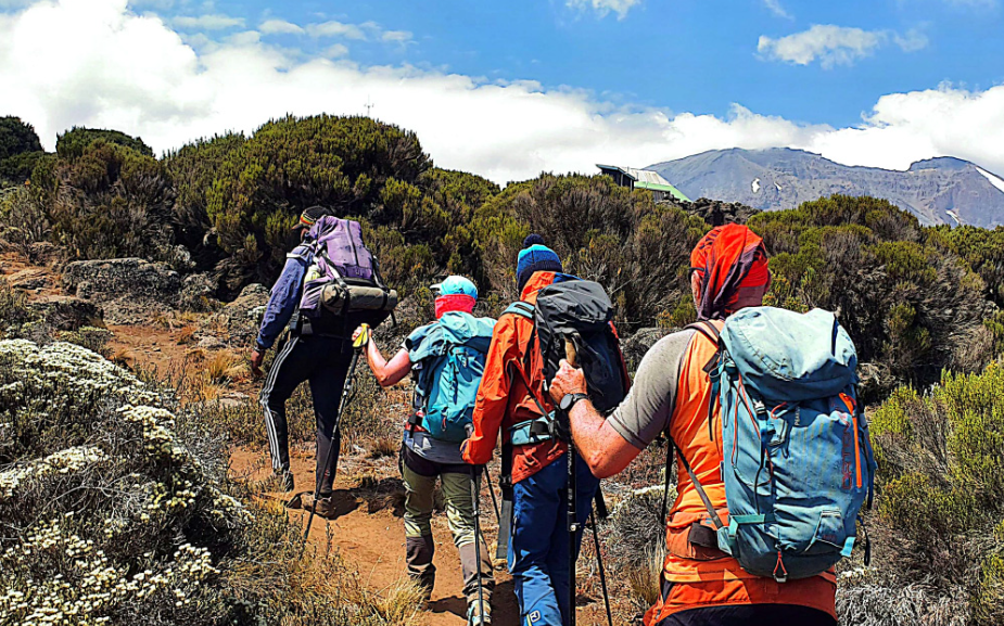 Kilimanjaro Day Hike