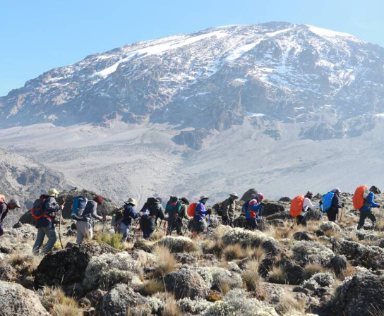 Climb Kilimanjaro 7 Days Lemosho Route - Multi-Day Safari safari tour in Tanzania