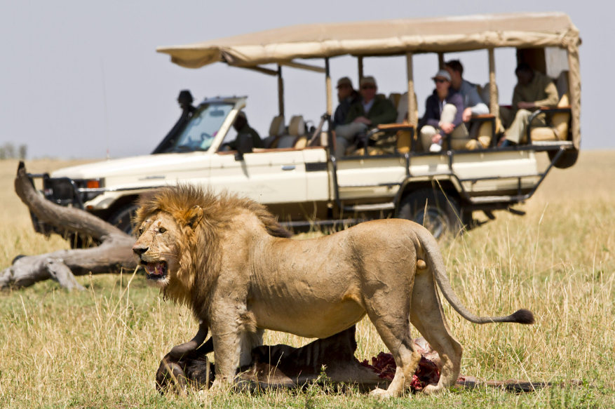 Ngorongoro Day Tour - Day Trip safari tour in Tanzania