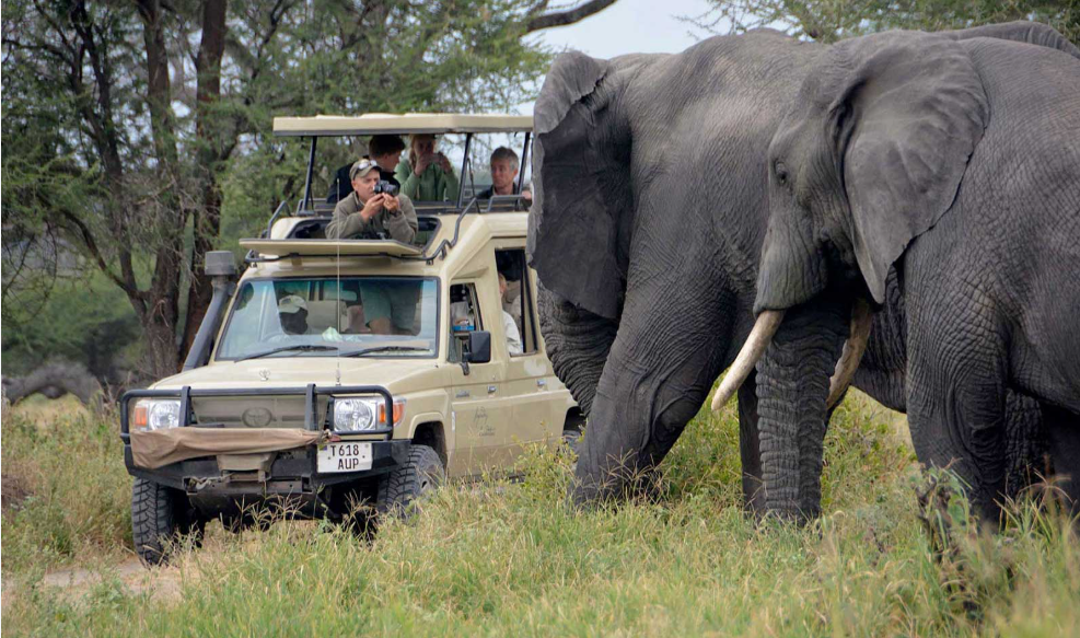 4-Day Private Tanzania Safari & Maasai Cultural Tour - Multi-Day Safari safari tour in Tanzania