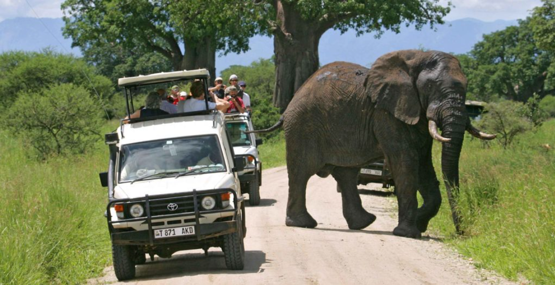Tarangire Day Tour - Day Trip safari tour in Tanzania