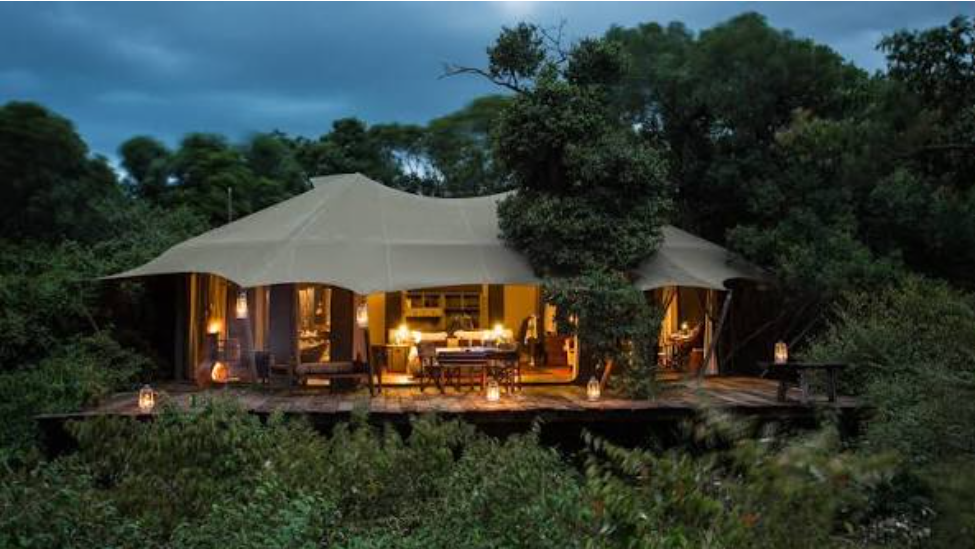 4 Days Exclusive Camping Safaris in Tanzania - Multi-Day Safari safari tour in Tanzania