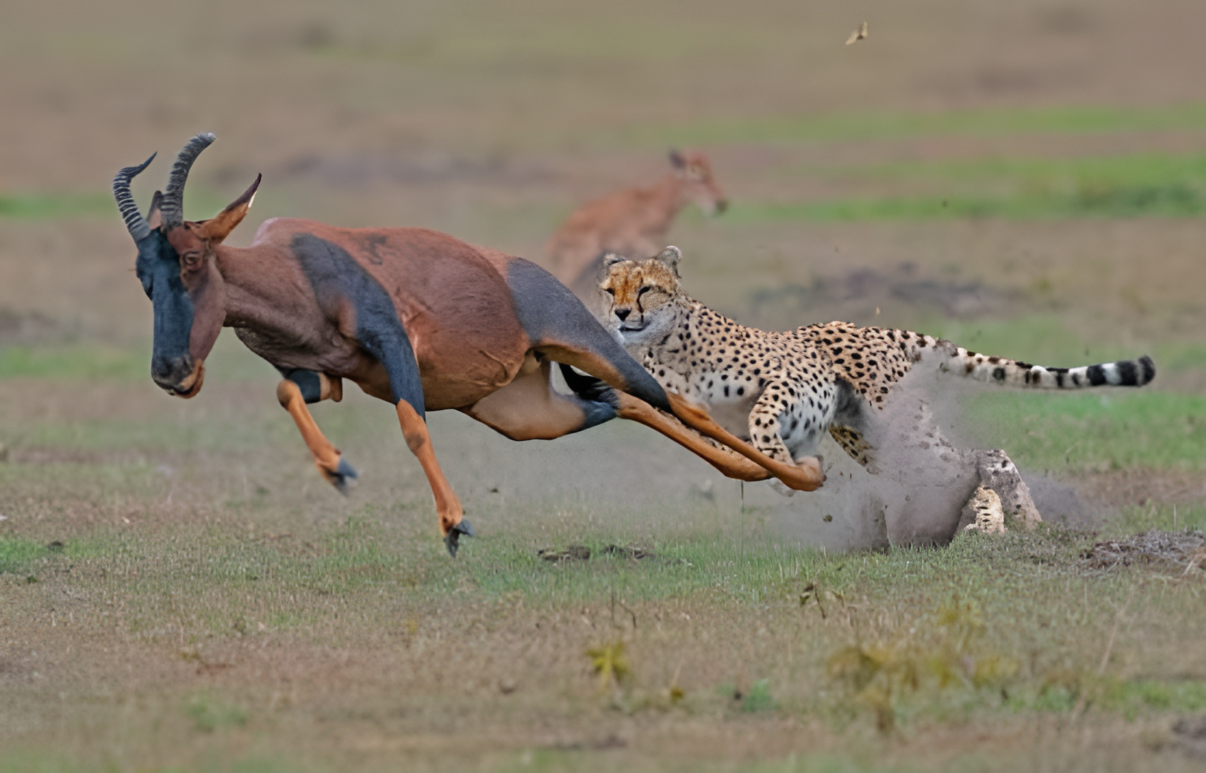 6 Days Ultimate Wilderness Camping Safari - Multi-Day Safari safari tour in Tanzania