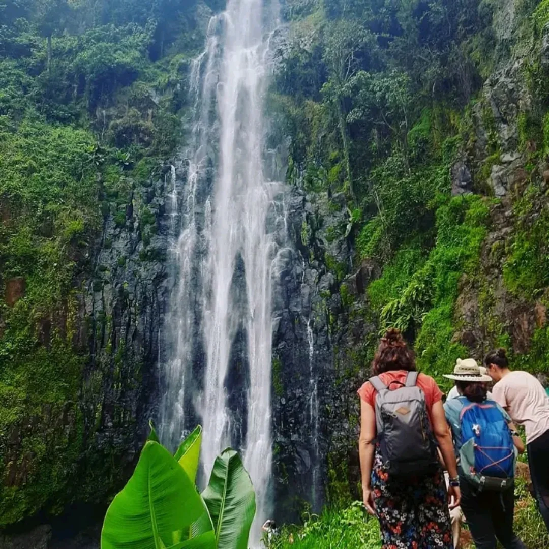 Materuni Waterfall & Coffee Tour