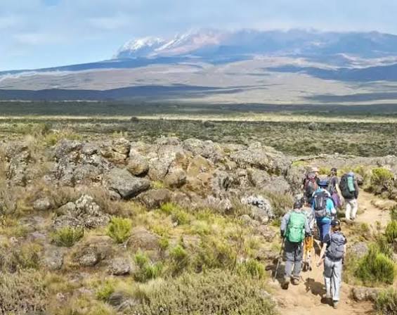 Kilimanjaro Day Hike gallery 3