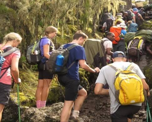 Kilimanjaro Day Hike gallery 1