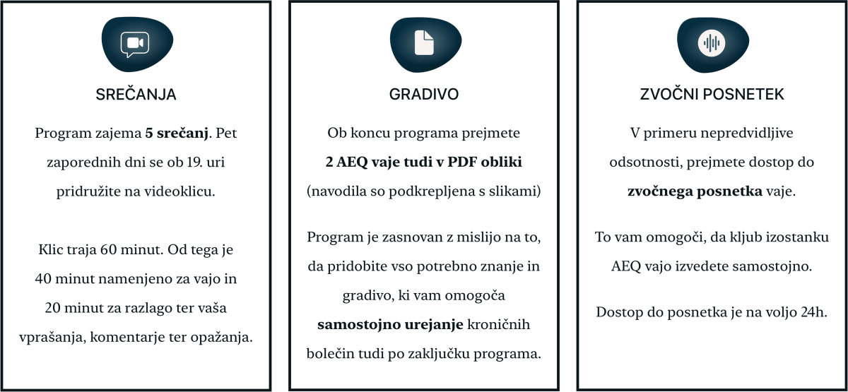 AEQ program izboljšave