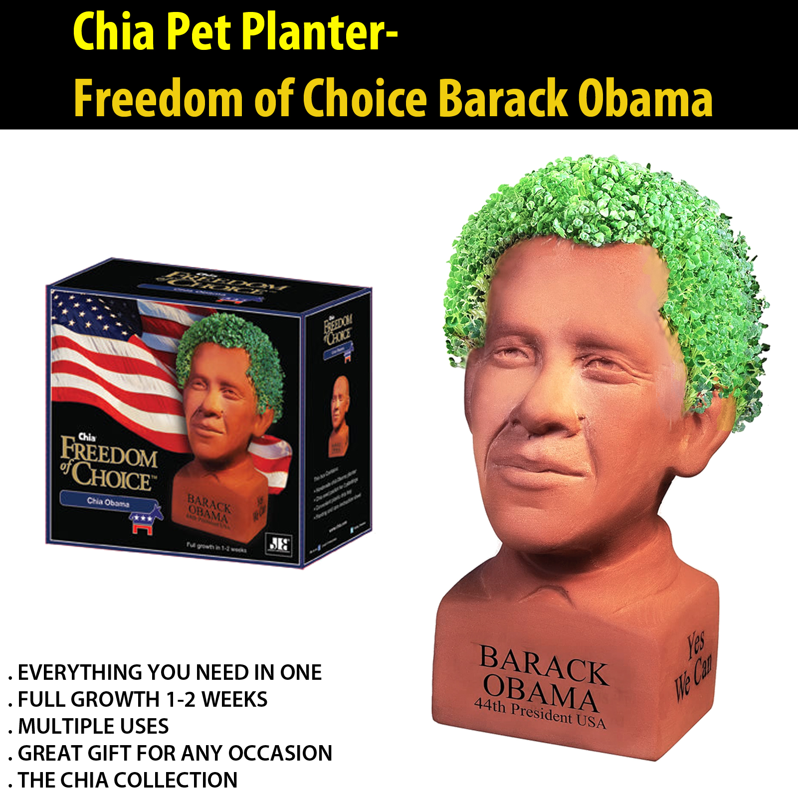 Chia Pet Planter Star Wars Home Decor Plant Pot EWOK