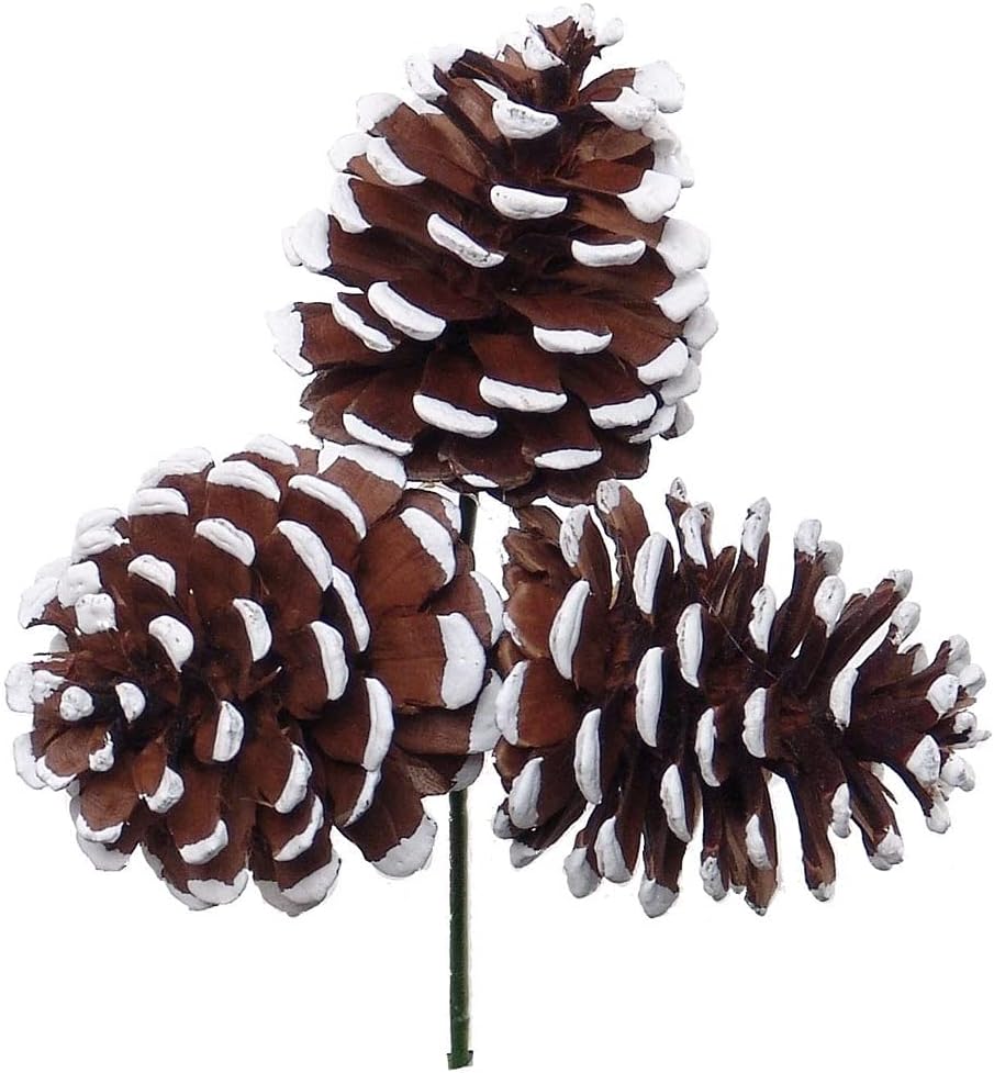 White Tipped Natural Pine Cone Picks | 2.5 Wide | Festive Holiday Decor |  Trees, Wreaths, & Garlands | Christmas Picks | Home & Office Decor (Set of