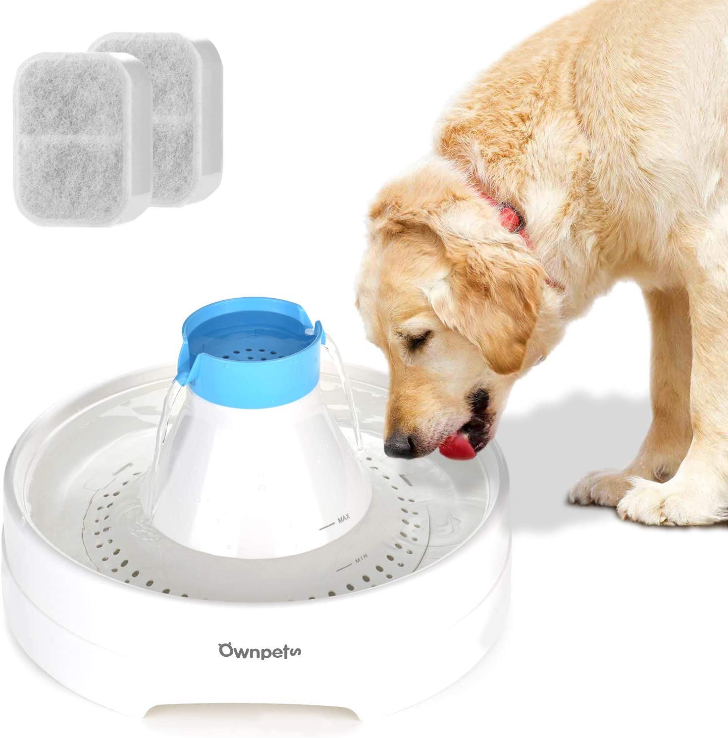 Dog water cheap fountain b&m