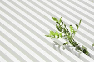 Highlights aus Linz: Experimentelle Klänge, Workshops und Jubiläumsfeiern - 10