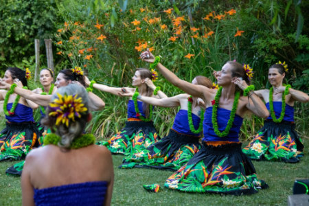 Hawaiianischer Hula-Tanz - So., 15.11.2026, 10:00 at Öblarner Haus für Alle, 99, 8960 Öblarn, Österreich