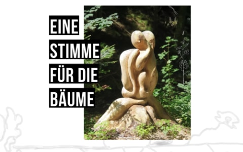 Eine Stimme für die Bäume: Kunstspaziergang SIRIUS - Sat, Oct 17, 2026, 10:00 at Mondsee, -, 5310 Mondsee, Österreich