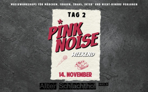 Pink Noise Weekend OÖ im Alten Schlachthof Wels - TAG 2 - Sat, Nov 14, 2026, 10:00 at Alter Schlachthof Wels, Dragonerstraße 22, 4600 Wels, Österreich